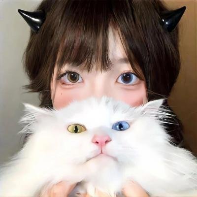 苍蝇